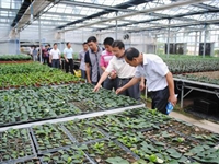 佛山市农学会举办“正确认识转基因”专题培训