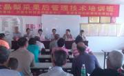 河源市科技咨询服务中心联合东源县科协举办水晶梨收后管理技术培训班