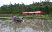 河源市和平县举办水稻育插秧机械化现场演示会