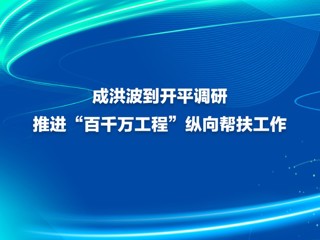 成洪波到开平调研 推进“百千万工程”纵向帮扶工作
