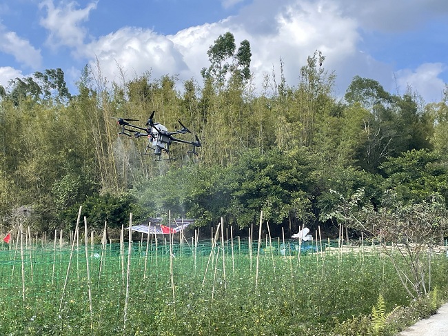 202205131130236405.jpg 202205131130236405.jpg