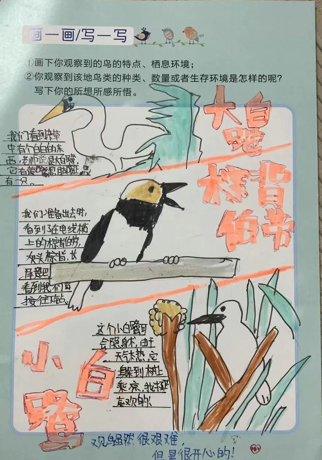 202208301706522666.jpeg 202208301706522666.jpeg