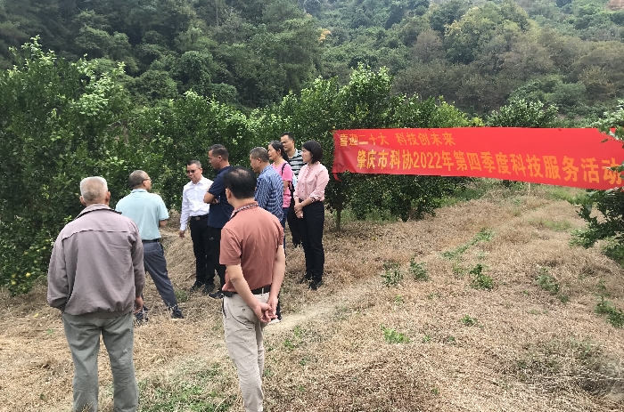 202210241638276680.jpg 202210241638276680.jpg