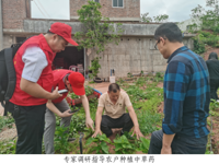 韶关南雄市开展产业种植技术科技志愿服务专家行活动