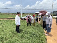 湛江市徐闻县举办“绿韭飘香，富农启航”韭菜种植技术培训活动