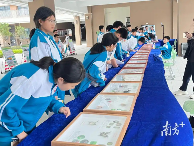 微信图片_20251117153750